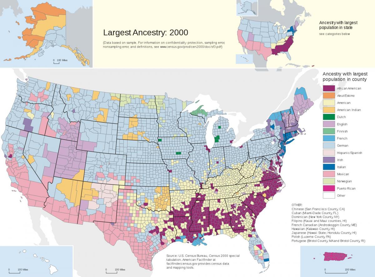 Verenigde staten etniciteit kaart