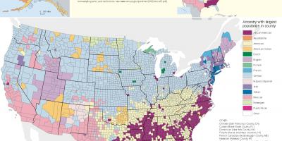 Verenigde staten etniciteit kaart